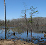 After the collapse of a salt mine in south Louisiana last year, a 9-acre sinkhole has flooded the area. It also caused gas and oil leaks, and local residents are fed up.