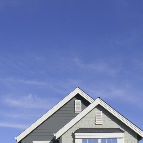 Roofs of suburban houses