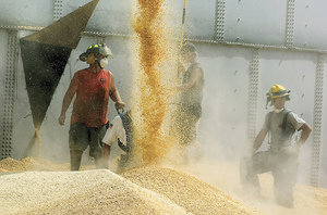 Workers drain corn from Haasbach LLC's Bin No. 9 as rescuers work inside to free three trapped boys July 28, 2010, in Mount Carroll, Ill. Triangular-shaped holes like the one pictured (left) were cut all around the bin to drain the corn evenly and keep the structure from collapsing.