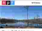 NPR article displayed on the Google Currents Android app.