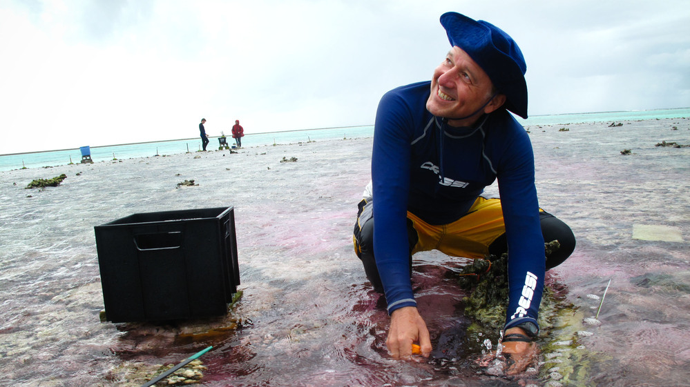Ken Caldeira of the Carnegie Institution for Science takes a water sample during his experiment out on part of the Great Barrier Reef. The water is slightly pink because his team is using a dye to trace an acid-neutralizing chemical as it flows across the reef.