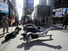 Army recruits perform exercises as part of a demonstration for tourists in front of the military-recruiting station in New York's Times Square. Army recruits perform exercises as part of a demonstration for tourists in front of the military-recruiting station in New York's Times Square.