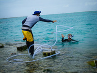 Caldeira (left) tosses some plastic tubing that will pipe in the antacid, mixed with nontoxic red dye, from a floating tank nearby to see whether the reef will grow faster under less-acidic conditions.