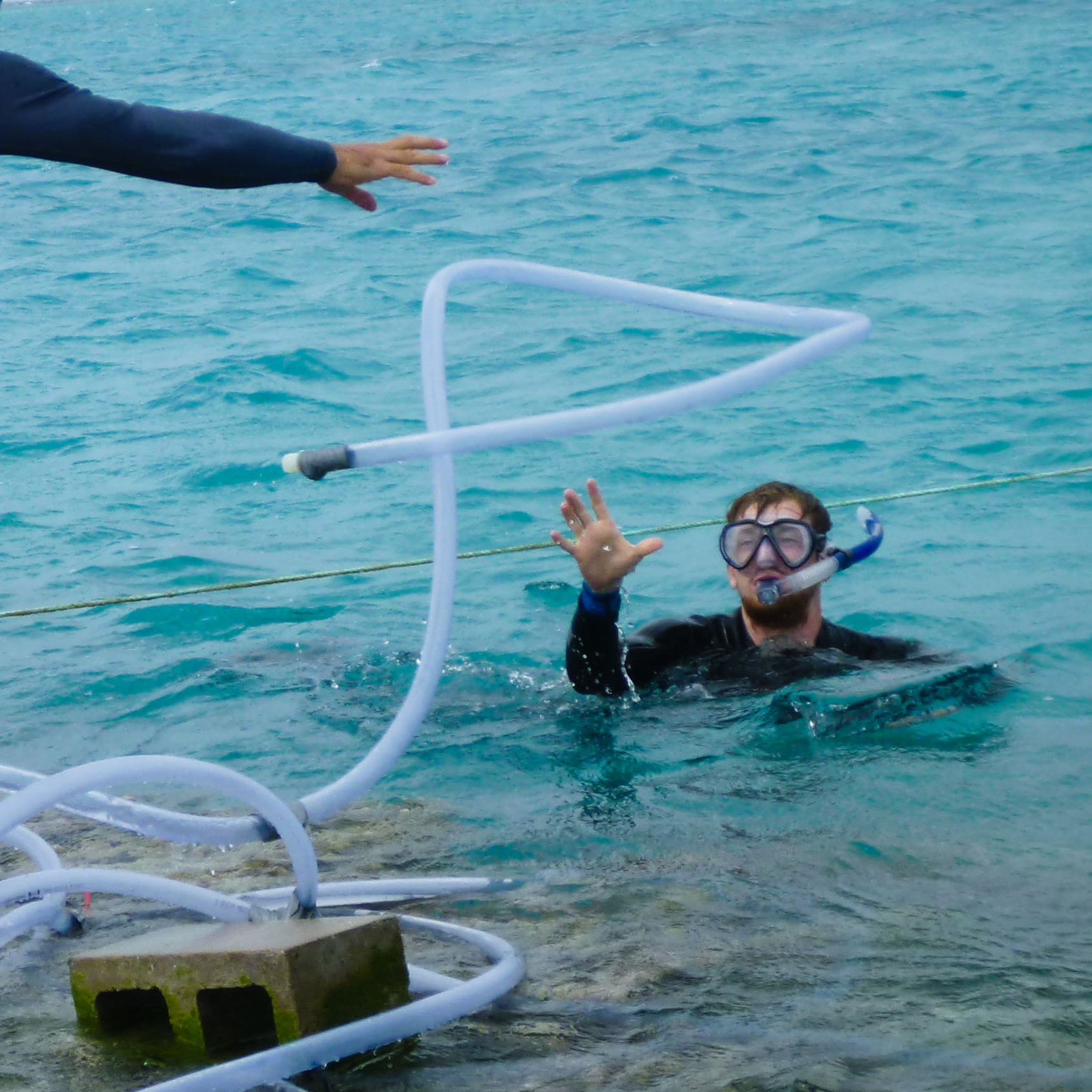 Caldeira (left) tosses some plastic tubing that will pipe in the antacid, mixed with nontoxic red dye, from a floating tank nearby to see whether the reef will grow faster under less-acidic conditions.