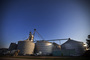 Two young workers died in flowing corn at this commercial grain storage complex in Mount Carroll, Ill., in 2010. OSHA regulates 13,000 commercial grain bins like these. But grain bins on 300,000 family farms are largely exempt from OSHA regulations.