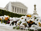 Snow covers flowers in front of the Supreme Court building on Monday in Washington, D.C. On Tuesday, the justices hear oral arguments on the constitutionality of California's Proposition 8, which banned gay marriage. Snow covers flowers in front of the Supreme Court building on Monday in Washington, D.C. On Tuesday, the justices hear oral arguments on the constitutionality of California's Proposition 8, which banned gay marriage.