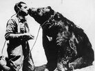 An American zoo tried experiments of playing music to animals to see if it subdued them. An American zoo tried experiments of playing music to animals to see if it subdued them.