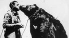 An American zoo tried experiments of playing music to animals to see if it subdued them. An American zoo tried experiments of playing music to animals to see if it subdued them.