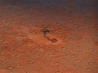 Thousands of "fairy circles" dot the landscape of the NamibRand Nature Reserve in Namibia. Why these barren circles appear in grassland areas has puzzled scientists for years. Thousands of "fairy circles" dot the landscape of the NamibRand Nature Reserve in Namibia. Why these barren circles appear in grassland areas has puzzled scientists for years.