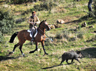 Ramiro Maura hunts wild boar at his ranch near Madrid in February. Ramiro Maura hunts wild boar at his ranch near Madrid in February.