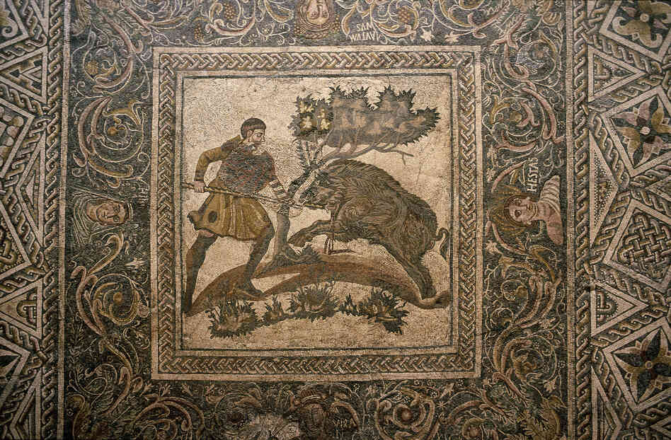 A fourth-century mosaic floor from a Roman villa — now on display at a museum in Merida, Spain — includes depictions of boar hunting. A fourth-century mosaic floor from a Roman villa — now on display at a museum in Merida, Spain — includes depictions of boar hunting.