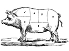 The name may be new, but we've been cutting the "porterhouse chop" for quite a long time The name may be new, but we've been cutting the "porterhouse chop" for quite a long time