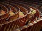 Musical instruments wait for the arrival of the orchestra during the closing session of the Chinese People's Political Consultative Conference at the Great Hall of the People in Beijing on March 12.