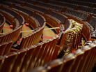 Musical instruments wait for the arrival of the orchestra during the closing session of the Chinese People's Political Consultative Conference at the Great Hall of the People in Beijing on March 12. Musical instruments wait for the arrival of the orchestra during the closing session of the Chinese People's Political Consultative Conference at the Great Hall of the People in Beijing on March 12.