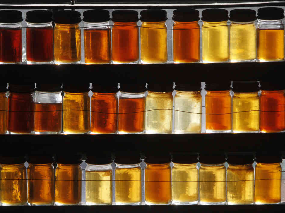 Eighteen different grades of maple syrup are displayed in East Montpelier, Vt. Eighteen different grades of maple syrup are displayed in East Montpelier, Vt.