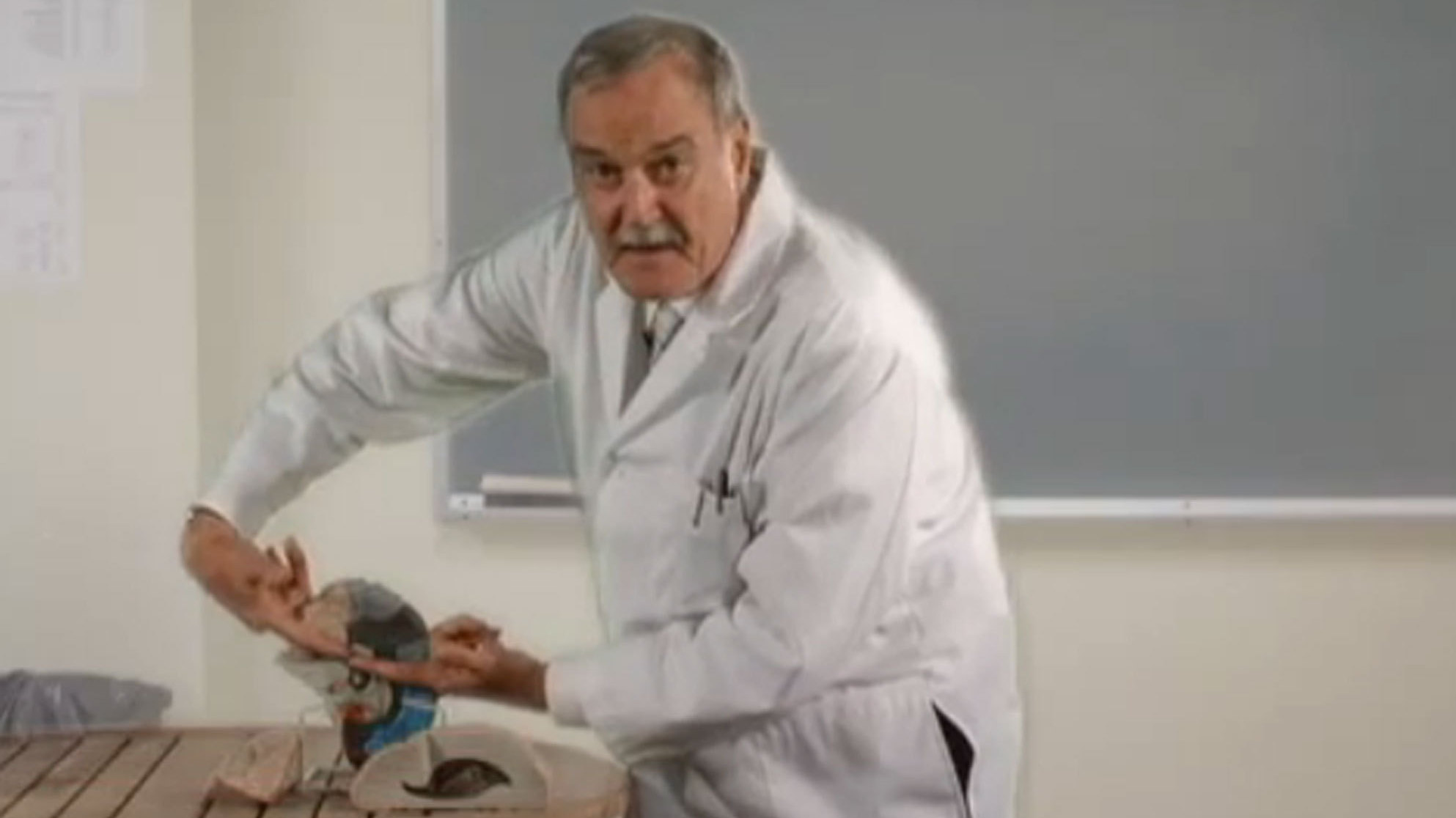 Monty Python's John Cleese Almost Explains Our Brains : NPR