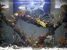 A tank, built by the guys from Tanked. A tank, built by the guys from Tanked.