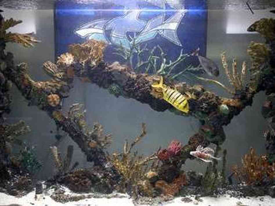 A tank, built by the guys from Tanked. A tank, built by the guys from Tanked.