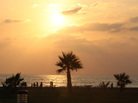 Director Nidal Hassan spent a year filming in Tartous, a Syrian beach town made up mostly of Alawites who still support embattled President Bashar Assad. Director Nidal Hassan spent a year filming in Tartous, a Syrian beach town made up mostly of Alawites who still support embattled President Bashar Assad.