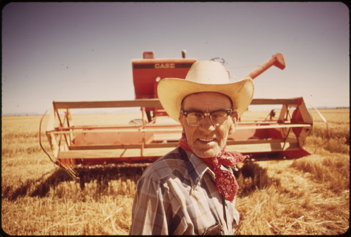 Harvesting wheat in the Palo Verde Valley, Calif., May 1972.