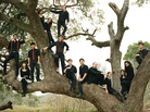 Mother Falcon's new album, You Knew, comes out May 7. Mother Falcon's new album, You Knew, comes out May 7.