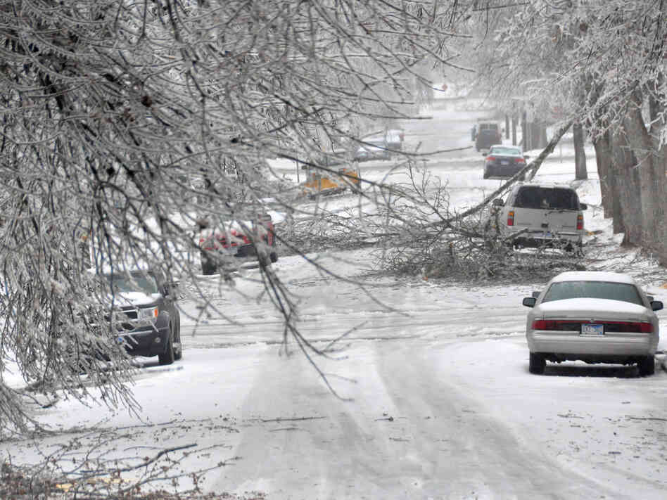 Where is spring? Icy branches partially blocked a city street Wednesday in Sioux Falls, S.D. More wintry weather is expected there Thursday. Where is spring? Icy branches partially blocked a city street Wednesday in Sioux Falls, S.D. More wintry weather is expected there Thursday.