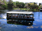 A glass-bottomed boat glides along water in Silver Springs, Fla. The springs, once a major tourist destination, have declined both in volume and in water quality. A glass-bottomed boat glides along water in Silver Springs, Fla. The springs, once a major tourist destination, have declined both in volume and in water quality.
