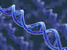 Artist's representation of DNA. Artist's representation of DNA.