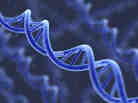 Artist's representation of DNA.