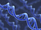 Artist's representation of DNA. Artist's representation of DNA.