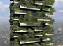 Trees On Top Of Skyscrapers? Yes! Yes, Say I. No! No, Says Tim