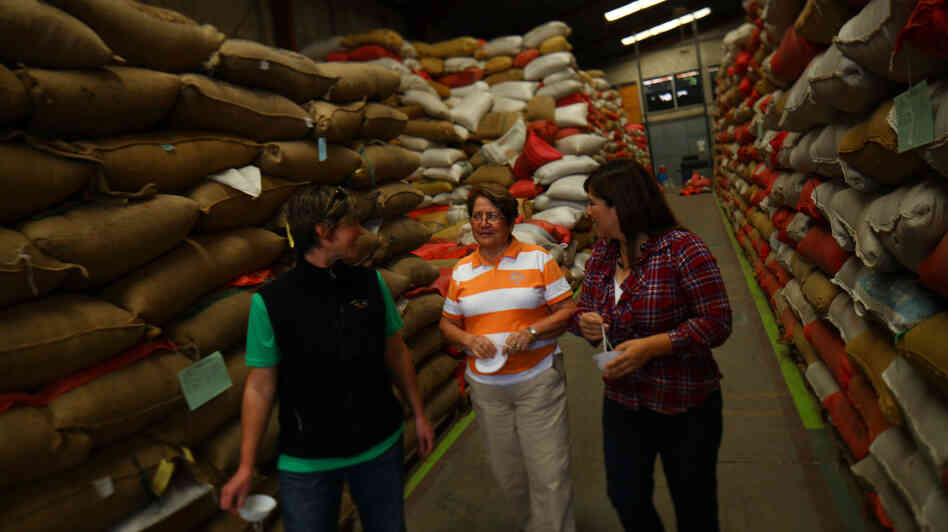 Three women in coffee leading the way: Stephanie Backus of Portland Roasting, coffee farmer Miguelina Villatoro of Guatemala, and coffee exporter/processor Loyreth Sosa. Here they discuss coffee prices as they survey beans ready for milling. Three women in coffee leading the way: Stephanie Backus of Portland Roasting, coffee farmer Miguelina Villatoro of Guatemala, and coffee exporter/processor Loyreth Sosa. Here they discuss coffee prices as they survey beans ready for milling.