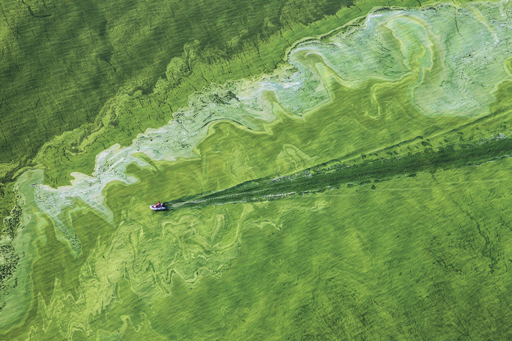 Fertilizer runoff causes toxic algal blooms. This one covered a third of Lake Erie in 2011.
