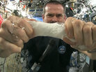 Wet towel in space Wet towel in space