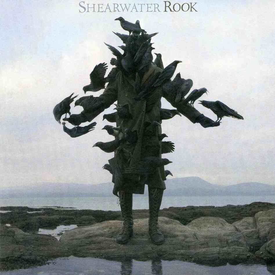 Shearwater's Rook cover Shearwater's Rook cover