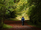A woman walks along a path lined with deciduous trees in Wendover Woods on October 11, 2009 in Buckinghamshire, England. A woman walks along a path lined with deciduous trees in Wendover Woods on October 11, 2009 in Buckinghamshire, England.