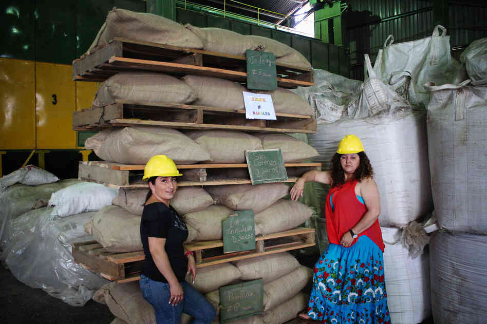 Angelina Zuñiga Godinez and Fanny Cordero Mora grow coffee for Coopetarrazu, one of Costa Rica's largest coffee cooperatives. These bags of coffee are labeled with the towns where they are grown Angelina Zuñiga Godinez and Fanny Cordero Mora grow coffee for Coopetarrazu, one of Costa Rica's largest coffee cooperatives. These bags of coffee are labeled with the towns where they are grown