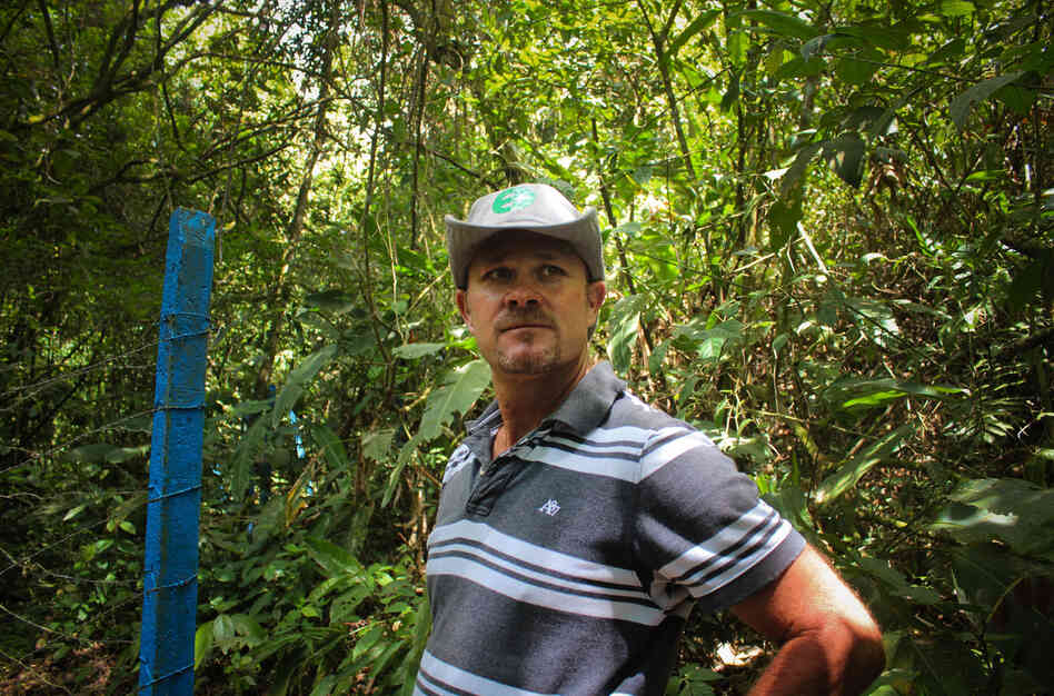 Luis Fernando Vasquez has been a coffee farmer in the central valley of Costa Rica his entire life. Luis Fernando Vasquez has been a coffee farmer in the central valley of Costa Rica his entire life.