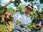 Eduardo Somarriba is a researcher at the Center for Tropical Agricultural Research and Education in Turrialba, Costa Rica. Eduardo Somarriba is a researcher at the Center for Tropical Agricultural Research and Education in Turrialba, Costa Rica.
