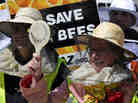 Beekeepers demonstrate at the EU headquarters in Brussels Monday, as lawmakers vote on whether to ban pesticides blamed for killing bees.
