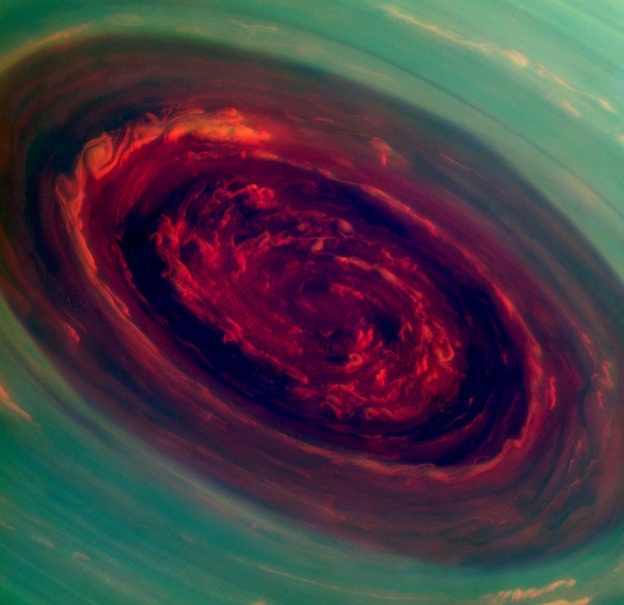 nasa_rose_custom-b9e81c5809a85dd560f6d755735ec926a98ce9b2-s4.jpg