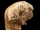 The four cuts at the top of this skull "are clear chops to the forehead," says Smithsonian forensic anthropologist Douglas Owsley. Based on forensic evidence, researchers think the blows were made after the person died. The four cuts at the top of this skull "are clear chops to the forehead," says Smithsonian forensic anthropologist Douglas Owsley. Based on forensic evidence, researchers think the blows were made after the person died.