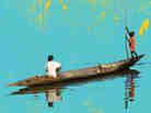 Cover of The Lower River