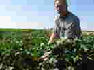 "They keep coming to the table ... always bitching and complaining." --Dahlin Hancock, Texas cotton farmer, on the Brazilians. "They keep coming to the table ... always bitching and complaining." --Dahlin Hancock, Texas cotton farmer, on the Brazilians.
