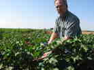 "They keep coming to the table ... always bitching and complaining." --Dahlin Hancock, Texas cotton farmer, on the Brazilians.