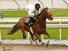 Kevin Krigger rides Goldencents during a six-furlong workout at Santa Anita Park in Arcadia, Calif., in January. Kevin Krigger rides Goldencents during a six-furlong workout at Santa Anita Park in Arcadia, Calif., in January.