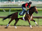 Goldencents training at Churchill Downs on May 1, 2013. Note: Due to an error in information provided by Getty Images, the original image with this post was of Golden Soul during one of its training sessions. We removed that image at 9:25 a.m. ET on May 5 and replaced it with this photo. Goldencents training at Churchill Downs on May 1, 2013. Note: Due to an error in information provided by Getty Images, the original image with this post was of Golden Soul during one of its training sessions. We removed that image at 9:25 a.m. ET on May 5 and replaced it with this photo.