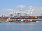 A cruise run by the Aquarium of the Pacific in Long Beach, Calif., exposes guests to the "urban ocean" in the country's biggest shipping terminal. A cruise run by the Aquarium of the Pacific in Long Beach, Calif., exposes guests to the "urban ocean" in the country's biggest shipping terminal.
