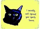 A cat next to the words, "I secretly root against your sports teams." A cat next to the words, "I secretly root against your sports teams."