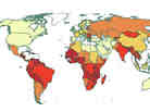 A map of cervical cancer rates around the world shows that they're highest in low-income countries.